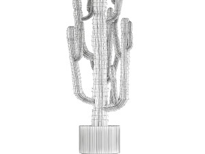 Indoor cactus pot desert plants Carnegiea Saguaro 1469 3D Model