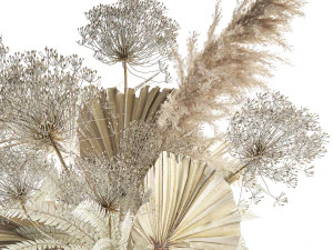 Bouquet Of Dried Flowers Vase Pampas Fern Hogweed 301 3D Model