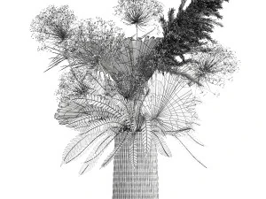Bouquet Of Dried Flowers Vase Pampas Fern Hogweed 301 3D Model