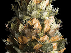 Christmas tree for decoration from dry fan palm leaves 3D Model