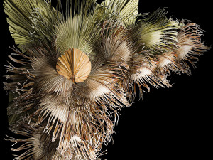 Christmas tree for decoration from dry fan palm leaves 3D Model