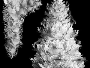 &Aacute;rvore de Natal para decora&ccedil;&atilde;o com folhas secas de palmeira Modelo 3D