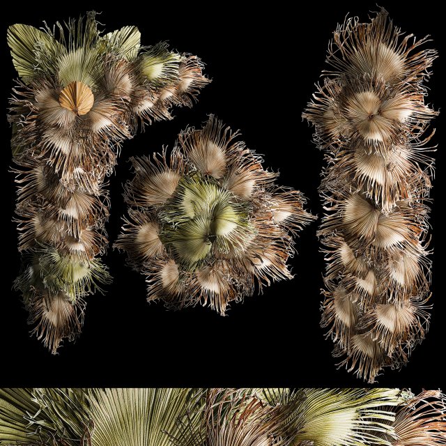 Wall panel made of dried flowers leaves of palm branches 307 3D Модель .c4d .max .obj .3ds .fbx .stl .blend 