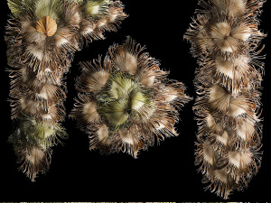 Wall panel made of dried flowers leaves of palm branches 307 Model 3D