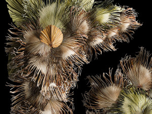 Wall panel made of dried flowers leaves of palm branches 307 3D Модель