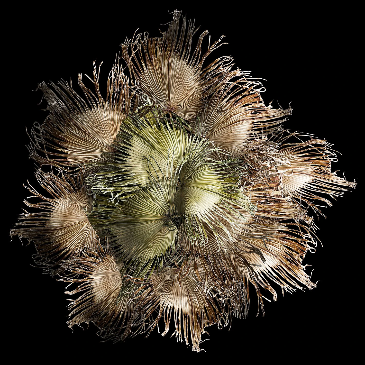 Wreath bouquet of dry branches of palm leaves 309 3D Model .c4d .max .obj .3ds .fbx .stl .blend 