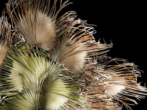 Wreath bouquet of dry branches of palm leaves 309 3D Model