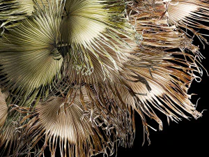 Wreath bouquet of dry branches of palm leaves 309 3D Model