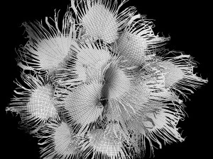 Wreath bouquet of dry branches of palm leaves 309 3D Model