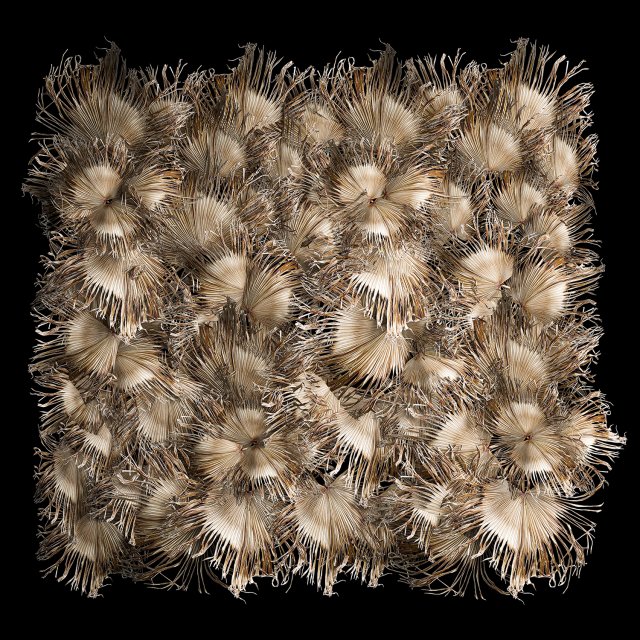 Phytowall wall decor dry branches of palm leaves 310 3Dモデル .c4d .max .obj .3ds .fbx .stl .blend 