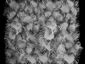 Phytowall wall decor dry branches of palm leaves 310 3D Model