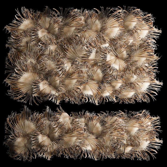 Wall decor made from dry branches of palm leaves 311 Modelo 3D .c4d .max .obj .3ds .fbx .stl .blend 