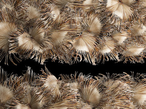 Wall decor made from dry branches of palm leaves 311 Modelo 3D