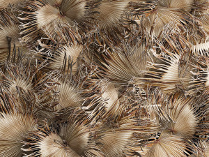 Wall decor made from dry branches of palm leaves 311 Modelo 3D