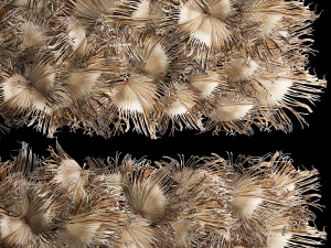Wall decor made from dry branches of palm leaves 311 Modelo 3D