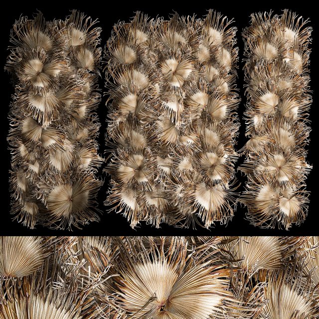 Wall decor made from dry branches of palm leaves 312 3D Model .c4d .max .obj .3ds .fbx .stl .blend 