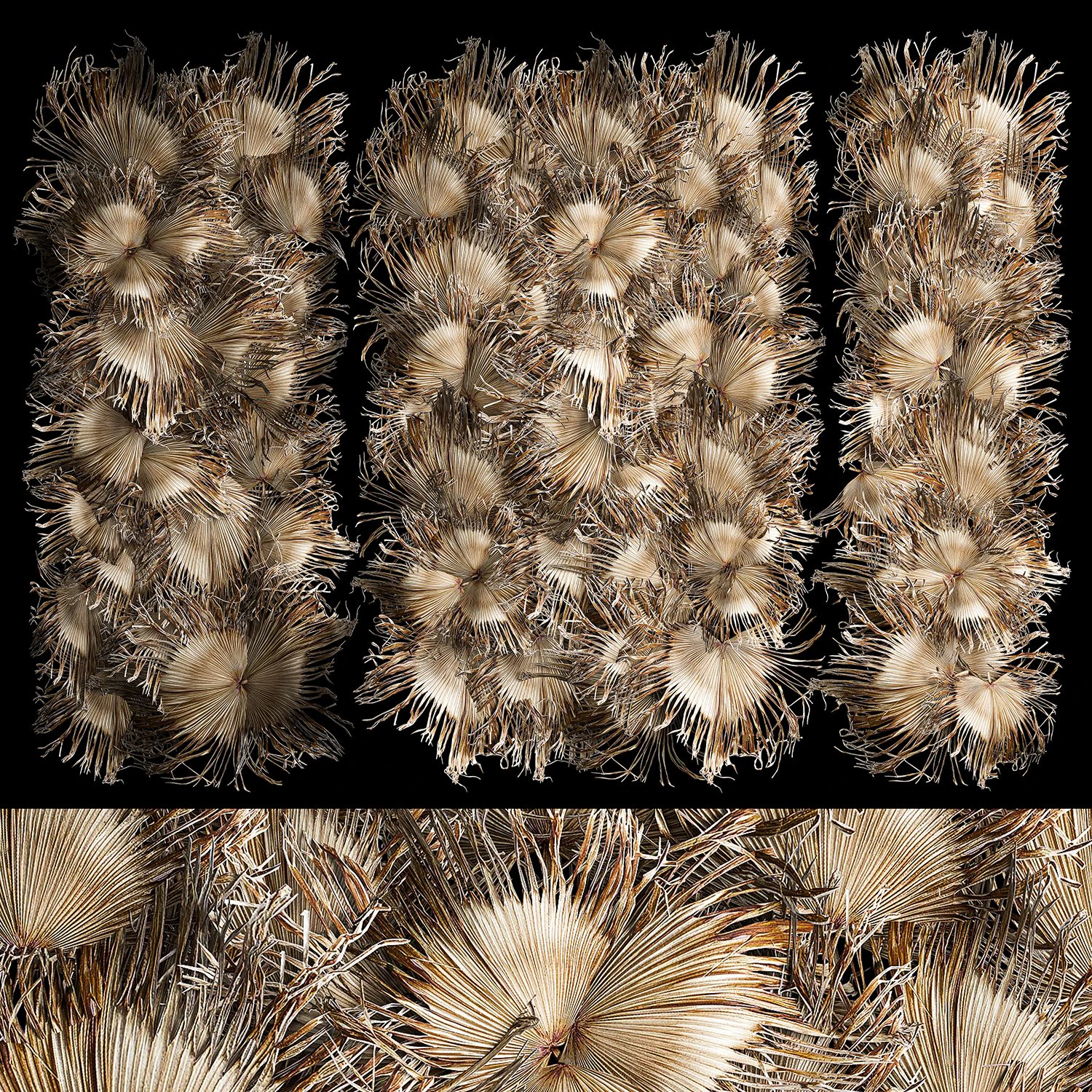 Wall decor made from dry branches of palm leaves 312 3D Model .c4d .max .obj .3ds .fbx .stl .blend 
