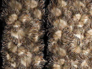 Wall decor made from dry branches of palm leaves 312 3D Model