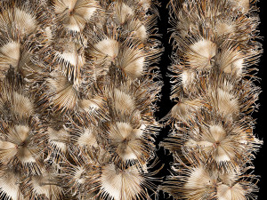 Wall decor made from dry branches of palm leaves 312 3D Model