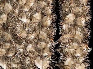 Wall decor made from dry branches of palm leaves 312 3D Model