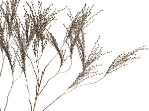 Minimalistic Bouquet Of Dry Branches In A Vase 315 3D Model