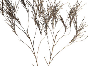 Minimalistic Bouquet Of Dry Branches In A Vase 315 3D Model