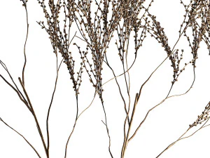 Minimalistic Bouquet Of Dry Branches In A Vase 315 3D Model