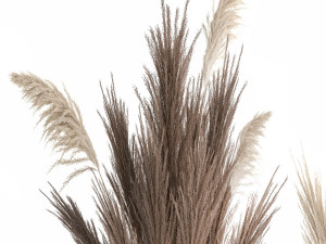 Minimalistic bouquet of dry pampas branches in a vase 316 Model 3D