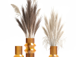 Minimalistic bouquet of dry pampas branches in a vase 316 Model 3D