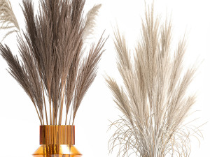 Minimalistic bouquet of dry pampas branches in a vase 316 Model 3D