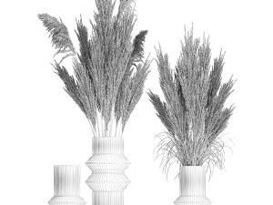 Minimalistic bouquet of dry pampas branches in a vase 316 Model 3D
