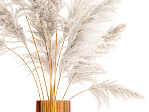 Lush bouquet of dry pampas branches in a vase 317 3Dモデル