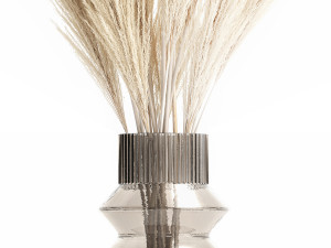 Modern bouquet of dry branches white pampas vase 319 Modèle 3D