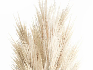 Modern bouquet of dry branches white pampas vase 319 3D Model