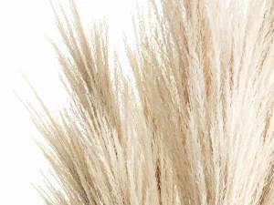 Modern bouquet of dry branches white pampas vase 319 3D Model