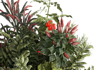 Bouquet of kitchen herbs and vegetables vase tomato pepper rosemary 3D मॉडल