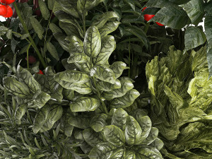 Bouquet of kitchen herbs and vegetables vase tomato pepper rosemary 3D मॉडल
