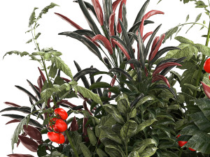 Bouquet of kitchen herbs and vegetables vase tomato pepper rosemary 3D मॉडल