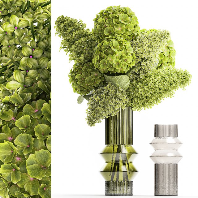 Bouquet of green flowers in a vase hydrangea lilac 321 3D 모델 .c4d .max .obj .3ds .fbx .stl .blend 