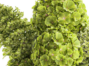 Bouquet of green flowers in a vase hydrangea lilac 321 3D Model