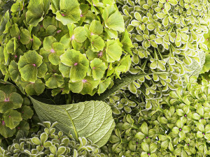 Bouquet of green flowers in a vase hydrangea lilac 321 3D 모델