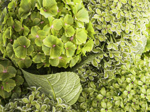 Bouquet of green flowers in a vase hydrangea lilac 321 3D Model