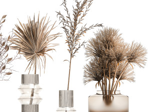 Collection of minimalist bouquets of dried flowers pampas vase 323 Modello 3D