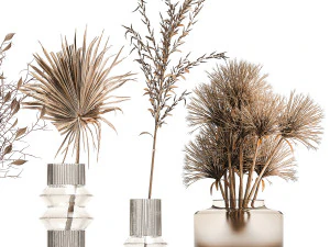 Collection of minimalist bouquets of dried flowers pampas vase 323 3D Model