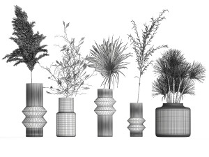Collection of minimalist bouquets of dried flowers pampas vase 323 Modello 3D