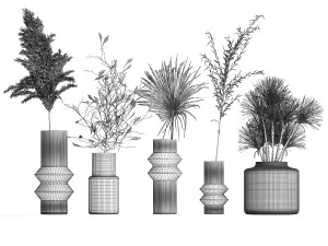 Collection of minimalist bouquets of dried flowers pampas vase 323 3D Model