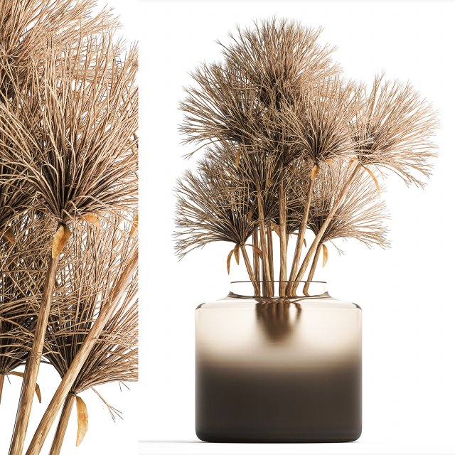 Small bouquet of dried flowers in a vase with hogweed 324 Model 3D .c4d .max .obj .3ds .fbx .stl .blend 