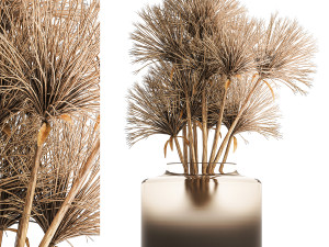 Small bouquet of dried flowers in a vase with hogweed 324 Model 3D
