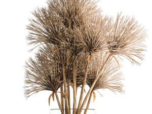 Small bouquet of dried flowers in a vase with hogweed 324 3D Model