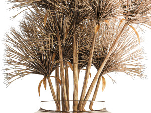 Small bouquet of dried flowers in a vase with hogweed 324 Model 3D